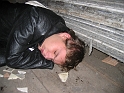bild (14)